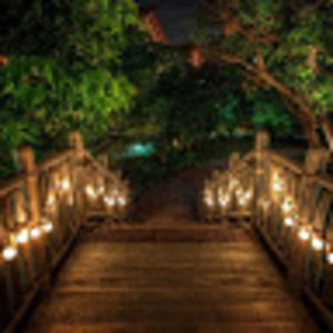 Meet your Posher, Odelia